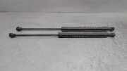 Gasdruckfeder Set Vorne 654707606R Renault Megane IV (RFBB) Schrägheck 5-drs 1.2 Energy TCE 130 (H5F-408(H5F-F4))