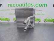 Klima Verdampfer Ford Fusion Kombi 1.4 16V (FXJC)