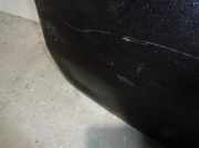 Hintertür 2788505 Renault 2.0 dCi Diesel FAP