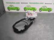 Kühlerventilator 7700436917H Renault Clio II (BB/CB) Schrägheck 1.5 dCi 80 (K9K-702)