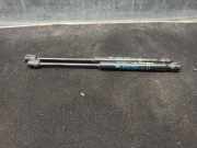 Gasdruckfedern Set Hinten 9650870280 Peugeot 407 (6C/J) Coupé 2.7 HDi V6 24V (DT17TED4(UHZ))