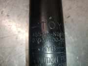 Sto?d?mpfer Links Hinten 48530K0090 Toyota Yaris IV (P21/PA1/PH1) Schr?gheck 1.5 12V Hybrid (M15AFXE)