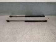 Gasdruckfedern Set Hinten 7700842256 Renault Clio II Societe (SB) Van 1.5 dCi 65 (K9K-704)