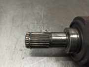 Servolenkung Pumpe - - 3A696DB Ford Fiesta 5 (JD/JH) Schrägheck 1.4 TDCi (F6JA)