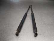 Gaspedal 6C1721503B Audi A1 Sportback (8XA/8XF) Schrägheck 5-drs 1.6 TDI 16V (CXMA(Euro 6))