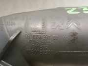 Schlauch 9807939780 Peugeot 3008 I (0U/HU) Großraumlimousine 1.2 e-THP PureTech 130 (EB2DTS(HNY))