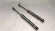Gasdruckfeder Set Vorne 51237239233 BMW 1 serie (F20) Schrägheck 5-drs 116d 1.5 12V TwinPower (B37-D15A)