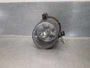 Nebelscheinwerfer Links Vorne 6Q0941699 Volkswagen Polo IV (9N1/2/3) Schrägheck 1.4 TDI 75 (AMF) AMF
