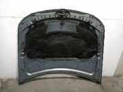Motorhaube 41617140729 BMW 3 serie Touring (E91) Kombi 320d 16V (N47-D20A)