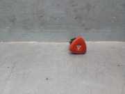 Warnleuchte Schalter 252904889R Renault II (BG0/1_) 1.9 dCi (BG08, BG0G)