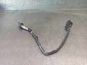 Tür Links Hinten 5589809 Hyundai Galloper II Geländewagen 2.5 TCI (D4BH)