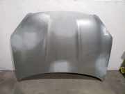 Motorhaube F5100JD0M0 Nissan Qashqai (J10) SUV 2.0 dCi (M9R)