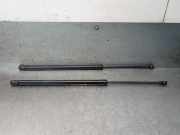 Gasdruckfedern Set Hinten 904506PA0A Nissan Juke (F16) SUV 1.0 DIG-T 117 12V (HRA0)
