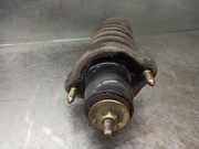 Stoßdämpfer Rechts Hinten MN101520 Mitsubishi Outlander (CU) SUV 2.4 16V 4x4 (4G69)