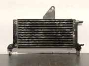 Kraftstoffkühler DIESEL 964769408A Peugeot 207 SW (WE/WU) Kombi 1.6 HDi (DV6DTED(9HP))