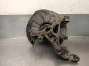 Achsschenkel Halter Rechts Hinten 5Q0505436F Volkswagen Golf VII (AUA) Schrägheck 2.0 TDI 16V (CRBC) CRBC