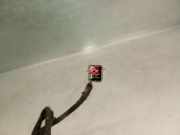 Kardanwelle 8W6521101 Audi A5 (F53, F5P) 2.0 TFSI