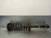 Stoßdämpfer Links Hinten 6K0513033B Seat Ibiza II (6K1) Schrägheck 1.4 CL,CLX,S,a la Mode,Latino (AEX)
