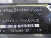 Motorsteuergerät 9650359580 Peugeot (S2) 1.9 Diesel