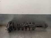 Stoßdämpfer Links Hinten 485300F010 Toyota Corolla Verso (R10/11) Großraumlimousine 1.8 16V VVT-i (1ZZFE)