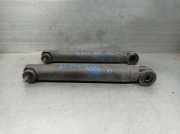 Gasdruckfedern Set Hinten 714963106 BMW (E70) 3.0 sd