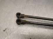 Gasdruckfeder Set Vorne 51232990344 BMW X1 (E84) SUV sDrive 18d 2.0 16V (N47-D20C)