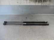 Gasdruckfedern Set Hinten 5J6827550B Skoda Fabia II (5J) Schrägheck 5-drs 1.9 TDi (BLS)
