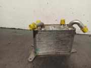 Ölkühler 3D0409061G Volkswagen (3D1, 3D2, 3D3, 3D4, 3D6, 3D7, 3D8, 3D9) 3.2 V6 4motion BKL