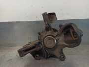 Achsschenkel Halter Links Vorne 2E0407303P Volkswagen CRAFTER CAJA CERRADA 2.5 TDI DPF BJL