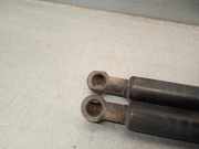 Gasdruckfedern Set Hinten 51248402405 BMW X5 (E53) SUV 3.0d 24V (M57-D30(306D1))