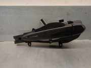 Türgriff Außen Links Hinten 51217207561 BMW X5 (E70) SUV xDrive 35d 3.0 24V (N57-D30A)