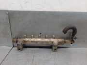 EinspritzdÃ¼sen DÃ¼senstock 175208H801 Nissan Primera (P12) Limousine 2.2 dCi 16V (YD22DDTi)