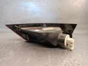 Nebelscheinwerfer Links Hinten CN1515K273AD Ford EcoSport (JK8) SUV 1.0 EcoBoost 12V 125 (M1JJ)