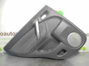 Türverkleidung Links Hinten 6764042250B0 Toyota RAV 4 2.4 120KW