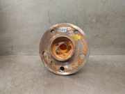 Achsschenkel Halter Links Hinten A1699810027 Mercedes-Benz CLASE B Sports Tourer (W245) B 180 CDI (245.207)