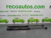 Gasdruckfedern Set Hinten Hyundai (TB) 1.6 16V CAT