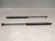 Gasdruckfedern Set Hinten 51794232 Ford Ka II Schrägheck 1.3 TDCi 16V (169.A.1000)