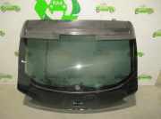 Stoßdämpfer Links Vorne 543025522R Dacia II 1.0 12V CAT