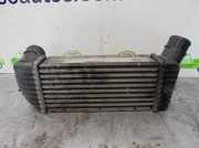 Ladeluftkühler 9636635380 Citroën CITROËN XSARA COUPE 1.9 TD VTS
