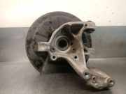 Achsschenkel Halter Rechts Hinten 5QF505436F Seat Tarraco SUV 2.0 TSI 16V 4Drive (DKZA)