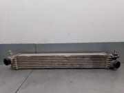 Ladeluftkühler 1382428080 Citroën CITROËN CAJA CERRADA, TECHO SOBREELEVADO (06.2006 =>) 2.2 HDI FAP CAT