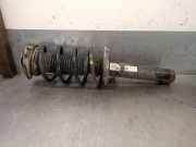 StoÃŸdÃ¤mpfer Links Vorne 2K5413031 Volkswagen CADDY IV Monospace (SAB, SAJ) 2.0 TDI 4motion