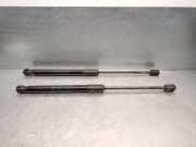 Gasdruckfeder Set Vorne 51239883421 BMW X1 (U11) SUV sDrive 18d 2.0 16V (B47-C20B)