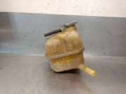 Ausgleichbehälter - 21711JG700 Renault I (HY_) 2.0 dCi (HY0K)