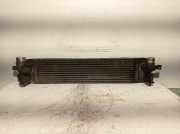 Ladeluftkühler 14461JG70B Renault I (HY_) 2.0 dCi (HY0K)