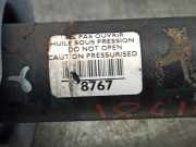 Stoßdämpfer Links Hinten 5206AY Peugeot 407 SW (6E) Kombi 2.2 HDi 16V 170 FAP (DW12BTED4(4HT))