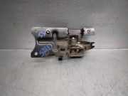 T?rgriff Innen Links Hinten FVC102210 Land + Range Rover Discovery II Gel?ndewagen 2.5 Td5 (10P)