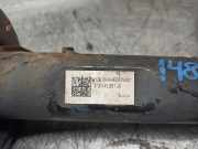 Handgriff Kofferraum 906063VA0A Nissan NV 200 (M20M) Van 1.5 dCi 90 (K9K)