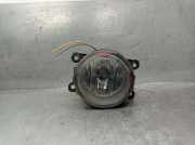 Nebelscheinwerfer Rechts Vorne 89210094 Renault II (BG0/1_) 1.9 dCi (BG1A, BG1W, BG0G)