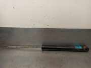 Stoßdämpfer Links Hinten 814902553148 Opel B 2.5 Turbodiesel (X 25 TD / U 25 TD / L93)